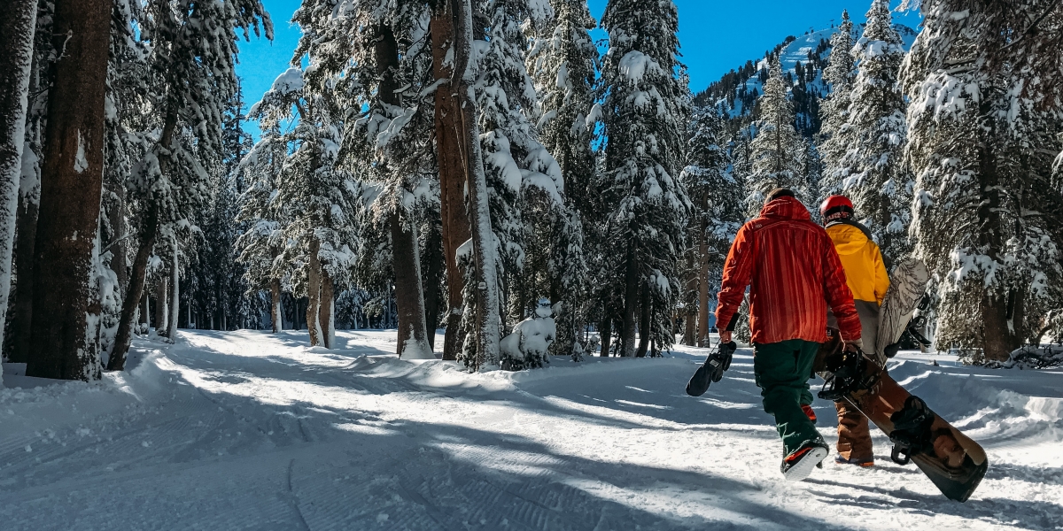 Snowfreaks wintersport beeld