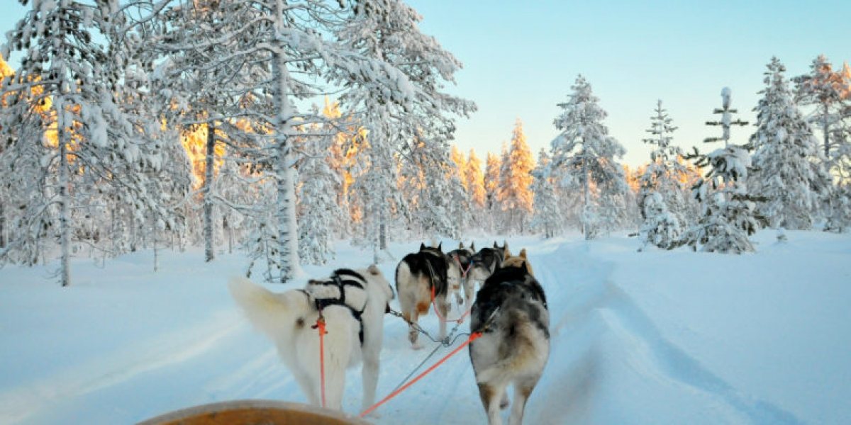 10 leukste camperlanden