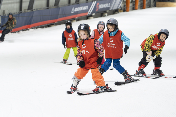 Kinderen op ski's